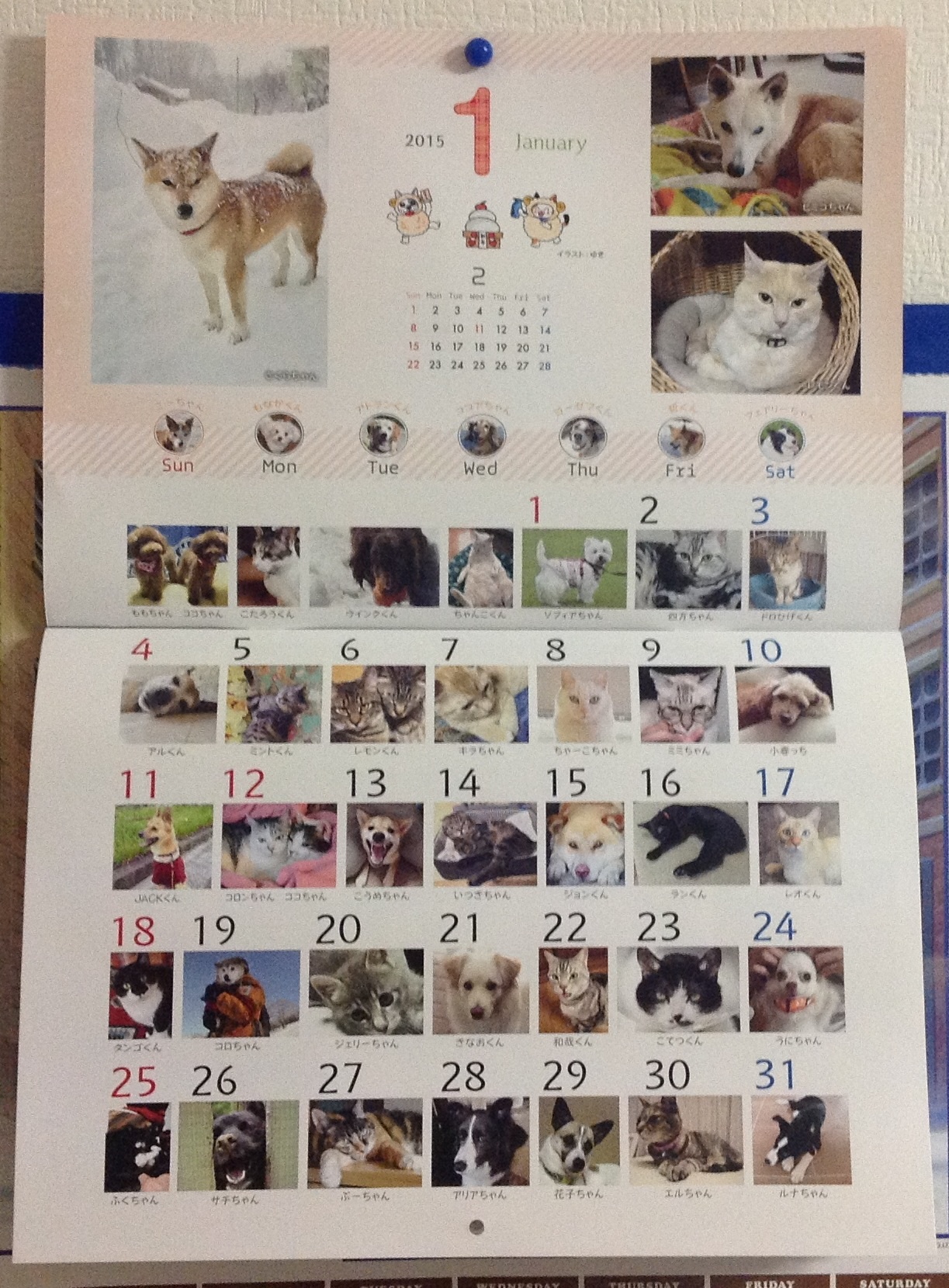 ２０１５年犬猫カレンダー 山中湖ワンにゃん倶楽部